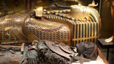 Maldição da múmia egípcia, Tutankhamon e a maldição, Misteriosas mortes no Egito, Faraós e lendas egípcias, Egiptologia e mortes enigmáticas, Howard Carter e Lord Carnarvon, Supertição e arqueologia no Egito, Teorias sobre a maldição, Enigmas do Rei Tutankhamon, Morte e o Egito Antigo, Investigação sobrenatural, Eventos misteriosos no Cairo, Lendas do Antigo Egito, Causas das mortes inexplicáveis, Múmia e tragédias, Sobreviventes da maldição da múmia, Histórias misteriosas do Egito, Ocorrências sobrenaturais no túmulo, Enigmas da egiptologia, O legado de Tutankhamon e sua maldição.