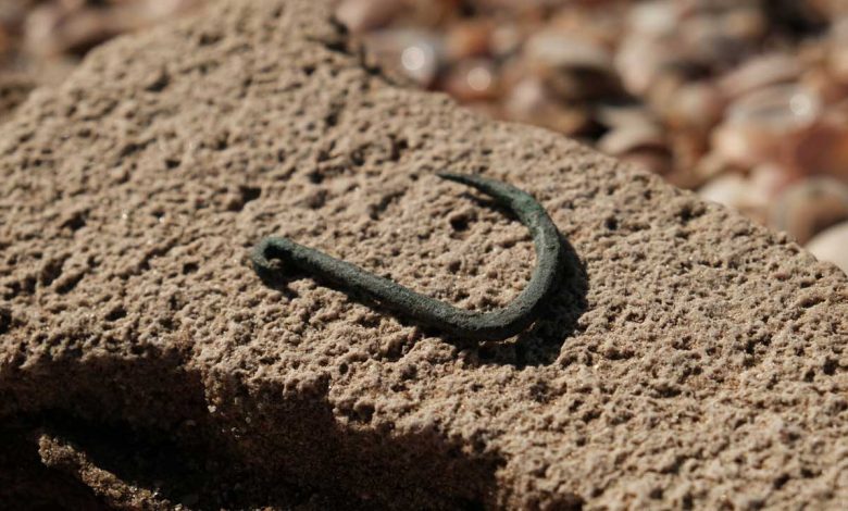 Anzol de cobre antigo para pesca, História da pesca de tubarões, Artefato arqueológico de 6.000 anos, Tecnologia de luminescência opticamente estimulada, Práticas alimentares antigas, Pesca costeira na Idade do Cobre, Patrimônio arqueológico marítimo, Anzol de cobre bem preservado, Descoberta arqueológica em Israel, Inovações tecnológicas na pesca antiga