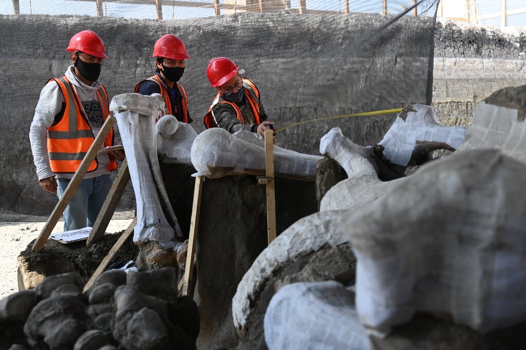 Descoberta de mamutes na Cidade do México, Arqueologia do Pleistoceno, História da caça pré-histórica, Relação entre humanos e mamutes, Armadilhas pré-históricas, Mamutes lanudos, Pesquisas arqueológicas em Tultepec, Estratégias de caça no Pleistoceno, Interpretação de fósseis de mamutes, Extinção dos mamutes, Táticas de caça pré-históricas, Impacto das mudanças climáticas na megafauna, Mamutes pré-históricos da América, Caça e alimentação na pré-história, Evolução da paleontologia, Importância das descobertas arqueológicas, Preservação de fósseis de mamutes, Contribuição do Instituto Nacional de Antropologia e História do México, Desvendando segredos do Pleistoceno, A vida dos caçadores-coletores na América pré-histórica.