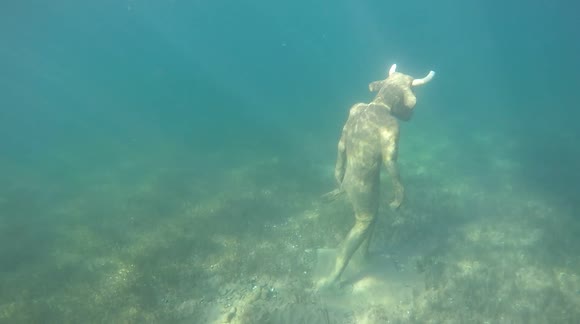 Estátua do Minotauro submersa, Descoberta na Patagônia, Cultura Mapuche e meio ambiente, Lago Mari Menuco, Significado do Gen Ko, Dano ambiental e alerta, Escultura misteriosa e seu propósito, Arqueologia na Patagônia, Riqueza da cultura Mapuche, Mensagem da natureza e proteção, Impacto ambiental da sociedade moderna, Minotauro e tradições indígenas, Segredos do lago submerso, Máscara gigante encontrada, Descoberta arqueológica surpreendente, Relação entre natureza e criaturas sobrenaturais, Patrimônio cultural Mapuche, Avistamento do Minotauro, Exploração do lago Mari Menuco, Significado das inscrições na máscara gigante, Mitologia Mapuche e o Minotauro, Arqueólogo amador e descoberta, Pesquisa ambiental e conscientização, Monumentos submersos e patrimônio cultural, Mistérios do lago Mari Menuco, Significado das inscrições da máscara, Lendas indígenas e proteção da natureza, Criaturas sobrenaturais na cultura Mapuche, Patagônia argentina e sua história, Rituais Mapuche e Gen Ko, Respeito pela natureza e tradições antigas, Impacto das atividades humanas no ambiente, Ecossistema do lago Mari Menuco, Rituais de permissão na cultura Mapuche, Exploração do lago e descobertas surpreendentes, Significado de "Viagem Eterna" na máscara gigante, Proteção da água e cultura Mapuche, História e lenda do Minotauro, Preservação do patrimônio Mapuche, Esculturas antigas e seu propósito na sociedade indígena.