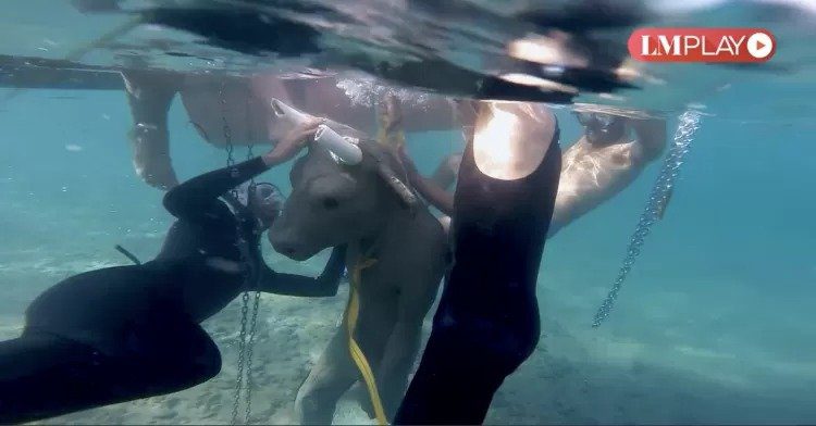 Estátua do Minotauro submersa, Descoberta na Patagônia, Cultura Mapuche e meio ambiente, Lago Mari Menuco, Significado do Gen Ko, Dano ambiental e alerta, Escultura misteriosa e seu propósito, Arqueologia na Patagônia, Riqueza da cultura Mapuche, Mensagem da natureza e proteção, Impacto ambiental da sociedade moderna, Minotauro e tradições indígenas, Segredos do lago submerso, Máscara gigante encontrada, Descoberta arqueológica surpreendente, Relação entre natureza e criaturas sobrenaturais, Patrimônio cultural Mapuche, Avistamento do Minotauro, Exploração do lago Mari Menuco, Significado das inscrições na máscara gigante, Mitologia Mapuche e o Minotauro, Arqueólogo amador e descoberta, Pesquisa ambiental e conscientização, Monumentos submersos e patrimônio cultural, Mistérios do lago Mari Menuco, Significado das inscrições da máscara, Lendas indígenas e proteção da natureza, Criaturas sobrenaturais na cultura Mapuche, Patagônia argentina e sua história, Rituais Mapuche e Gen Ko, Respeito pela natureza e tradições antigas, Impacto das atividades humanas no ambiente, Ecossistema do lago Mari Menuco, Rituais de permissão na cultura Mapuche, Exploração do lago e descobertas surpreendentes, Significado de "Viagem Eterna" na máscara gigante, Proteção da água e cultura Mapuche, História e lenda do Minotauro, Preservação do patrimônio Mapuche, Esculturas antigas e seu propósito na sociedade indígena.
