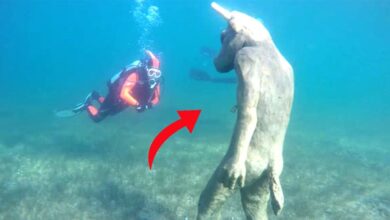 Estátua do Minotauro submersa, Descoberta na Patagônia, Cultura Mapuche e meio ambiente, Lago Mari Menuco, Significado do Gen Ko, Dano ambiental e alerta, Escultura misteriosa e seu propósito, Arqueologia na Patagônia, Riqueza da cultura Mapuche, Mensagem da natureza e proteção, Impacto ambiental da sociedade moderna, Minotauro e tradições indígenas, Segredos do lago submerso, Máscara gigante encontrada, Descoberta arqueológica surpreendente, Relação entre natureza e criaturas sobrenaturais, Patrimônio cultural Mapuche, Avistamento do Minotauro, Exploração do lago Mari Menuco, Significado das inscrições na máscara gigante, Mitologia Mapuche e o Minotauro, Arqueólogo amador e descoberta, Pesquisa ambiental e conscientização, Monumentos submersos e patrimônio cultural, Mistérios do lago Mari Menuco, Significado das inscrições da máscara, Lendas indígenas e proteção da natureza, Criaturas sobrenaturais na cultura Mapuche, Patagônia argentina e sua história, Rituais Mapuche e Gen Ko, Respeito pela natureza e tradições antigas, Impacto das atividades humanas no ambiente, Ecossistema do lago Mari Menuco, Rituais de permissão na cultura Mapuche, Exploração do lago e descobertas surpreendentes, Significado de "Viagem Eterna" na máscara gigante, Proteção da água e cultura Mapuche, História e lenda do Minotauro, Preservação do patrimônio Mapuche, Esculturas antigas e seu propósito na sociedade indígena.