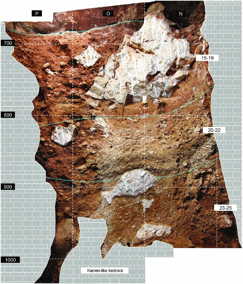 Neandertais, Evolução humana, Fogueiras pré-históricas, Gruta de Oliveira, Habilidades neandertais, Extinção hominídea, Arqueologia paleolítica, Adaptação ambiental, Gestão do fogo, Interseção genética, Hominídeos pré-históricos, Estudo arqueológico, Paleolítico Médio, Descobertas na Gruta, Cultura neandertal, Fósseis humanos, Mitos sobre neandertais, Arte pré-histórica, Interação cultural, História evolutiva