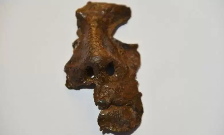 Descoberta arqueológica em Hadrianaupolis, Máscara de ferro romana, Arqueologia do Império Romano, Estratégias militares romanas, Cidade militar defensiva, Artefatos da necrópole sul, Anel de ferro de 1.800 anos, Soldado romano em Hadrianaupolis, História da Região Oeste do Mar Negro, Vida cotidiana em cidades romanas, Mitologia grega e romana, Táticas e estratégias do Império Romano, Defesas contra o Mar Negro, Arqueologia em Karabük, Turquia, Escavações na antiga cidade de Hadrianaupolis, Relíquias do século III, Deuses na cultura romana, Pan na escultura grega, Patrimônio histórico de Eskipazar, Preservação de artefatos arqueológicos.