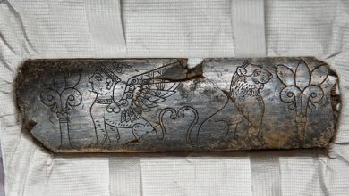 Artefato de marfim hitita, Símbolos da Idade do Bronze, Esculturas antigas de leões, Descobertas arqueológicas em Hattusa, Civilização hitita, Gravuras em marfim, Iconografia hitita, Museu Boğazköy, Rota da Seda na antiguidade, Arqueologia na Anatolia, Leão na iconografia antiga, Império Hitita, Linhagem real hitita, Colapso de civilizações antigas, Poder e realeza na arte antiga, Pinturas rupestres pré-históricas, Boğazköy e o sudeste da Anatólia, Grandes rotas comerciais antigas, Portões de leões hititas, Arqueólogos em Hattusa