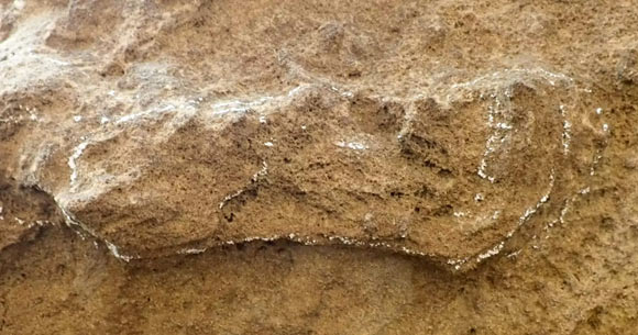 Pegada de Homo sapiens com 153.000 Anos Revela Segredos da Pré-História