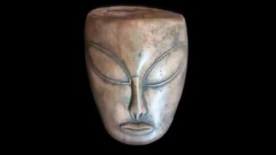 Contato alienígena, arqueologia Maia, astronomia Maia, artefatos Maias, civilização Maia, esculturas Maias, mitos Maias, ruínas Maias, evidências de visitas alienígenas, cultura Maia, teorias de contatos alienígenas, Calakmul, legado arqueológico, antigos Maias, pesquisas recentes, arte Maia, etnografia Maia, escrita hieroglífica Maia, religião Maia, pinturas Maias, ciência Maia.