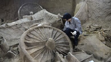 Túmulo chinês de 2.400 anos, Descoberta arqueológica na China, Cavalos e carros antigos, Cultura funerária chinesa, Civilização da Dinastia Zhou, Artefatos de bronze antigos, História da província de Henan, Período dos Estados Combatentes, Arqueologia na China, Tecnologia antiga chinesa, Mistério do túmulo de Xinzheng, Antiguidades chinesas, Significado histórico da descoberta, Sociedade na China antiga, Transição da Dinastia Zhou, Práticas funerárias na antiguidade, Riqueza arqueológica da China, Descoberta de cavalos e carros, Relíquias da história chinesa, Segredos do túmulo de 2.400 anos.