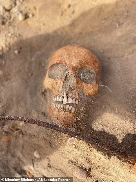 Sepultamentos estranhos na Polônia, Descoberta da 'vampira', Rituais antigos de sepultamento, Mitos sobre mortos-vivos, Arqueologia polonesa, Superstições de sepultamento, Crenças sobre vampiros na Polônia, História da 'vampira', Sepultamentos macabros, Escavações arqueológicas, Relatos de mortos-vivos, Proteção contra mortos-vivos, Costumes funerários poloneses, Arqueólogos na Polônia, Rituais de magia negra, Significado do gorro de seda, Foice em rituais funerários, História e folclore polonês, Crenças medievais sobre vampiros, A cultura dos mortos-vivos na Polônia