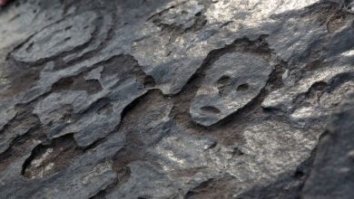 Pinturas rupestres amazônicas, Caretas do Rio Manaus, Arqueologia subaquática, Civilizações antigas na Amazônia, Arte rupestre submersa, Rios Negro e Amazonas, Seca e descobertas arqueológicas, Significado das pinturas rupestres, História submersa da Amazônia, Emoções nas Caretas, Megafauna na Idade do Gelo, Desafios da arqueologia fluvial, Mudanças climáticas e sítios arqueológicos, Expedição subaquática na floresta amazônica, Preservação de petróglifos, Impacto do Rio Negro nas descobertas, Técnicas de datação em arte rupestre, História da ocupação humana na Amazônia, Sociedades antigas em períodos de seca, Confluência dos rios e patrimônio histórico.