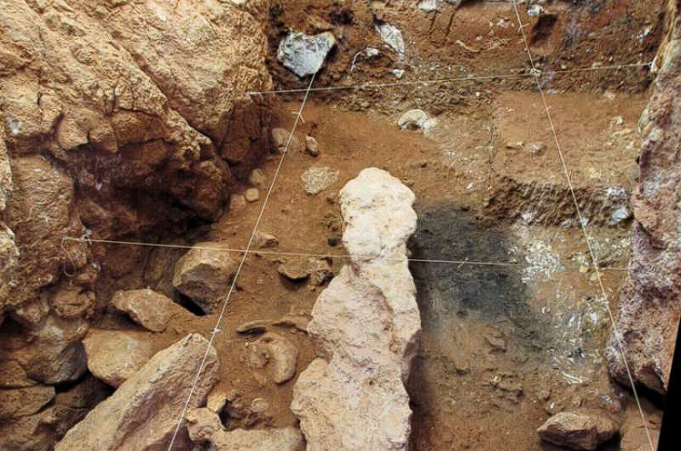 Neandertais, Evolução humana, Fogueiras pré-históricas, Gruta de Oliveira, Habilidades neandertais, Extinção hominídea, Arqueologia paleolítica, Adaptação ambiental, Gestão do fogo, Interseção genética, Hominídeos pré-históricos, Estudo arqueológico, Paleolítico Médio, Descobertas na Gruta, Cultura neandertal, Fósseis humanos, Mitos sobre neandertais, Arte pré-histórica, Interação cultural, História evolutiva