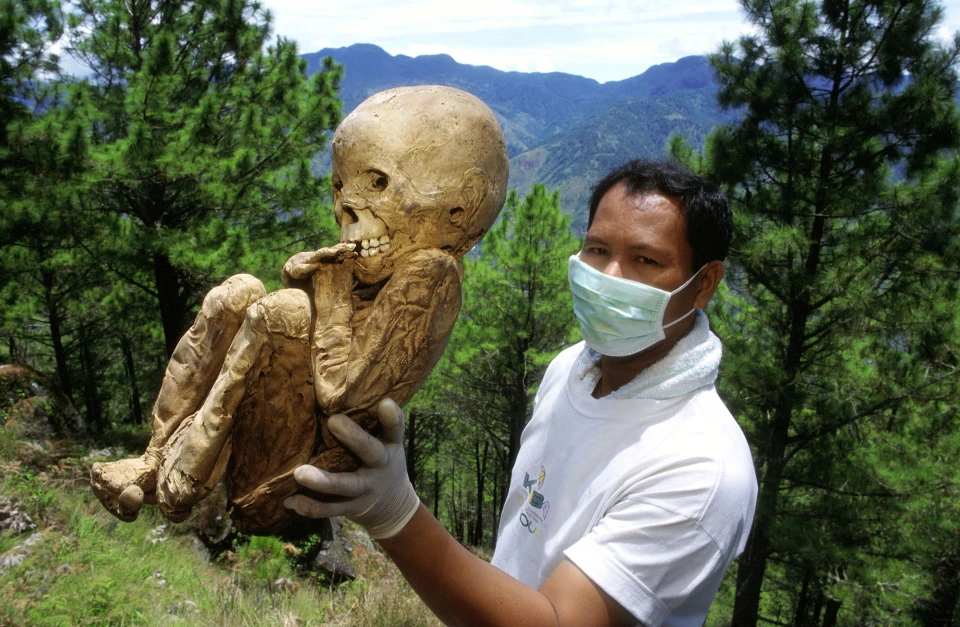 Arqueologia nas Filipinas, Técnica de Mumificação com Fumaça de Tabaco, Patrimônio Arqueológico das Cavernas Kabayan, Práticas Mortuárias da Tribo Ibaloi, Cápsula do Tempo Filippina, Rituais Funerários Tribais Filipinos, Caixões Suspensos de Sagada, Proteção do Patrimônio Cultural, Cavernas Kabayan: Desafios de Preservação, Múmias Ibaloi e Benguet, Fungos em Sítios Arqueológicos, Locais Ameaçados do Mundo, UNESCO e Múmias Kabayan, Mumificação Ritualística, Práticas de Enterro Únicas, Técnicas de Preservação Arqueológica, Antiga Civilização Filipina, Tribo Igorot e Suas Crenças, Desvendando Segredos da Mumificação, Cápsulas do Tempo na História Filipina.