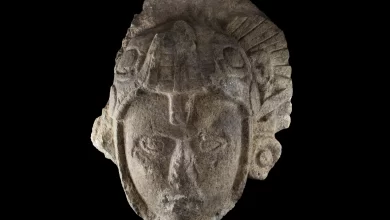 Descoberta arqueológica em Chichen Itza, Guerreiro maia esculpido, Artefato do Clássico Tardio, Hieróglifos do Templo 6, Simbolismo da serpente maia, Diego Prieto Hernández, Ritual cerimonial em Chichen Itza, Kukulcán e mitologia maia, Esculturas raras maias, Câmara do Complexo Casa Colorada, Cocar de penas e capacete de serpente, Cultura maia e Clássico Tardio, Descobertas arqueológicas no México, Ek Balam e governantes maias, População de Chichen Itza no Clássico Tardio, Troca de pele na iconografia maia, Relação entre guerreiros e cerimônias religiosas, Significado da serpente emplumada, Civilização maia além de Chichen Itza, Projetos futuros de exploração arqueológica.