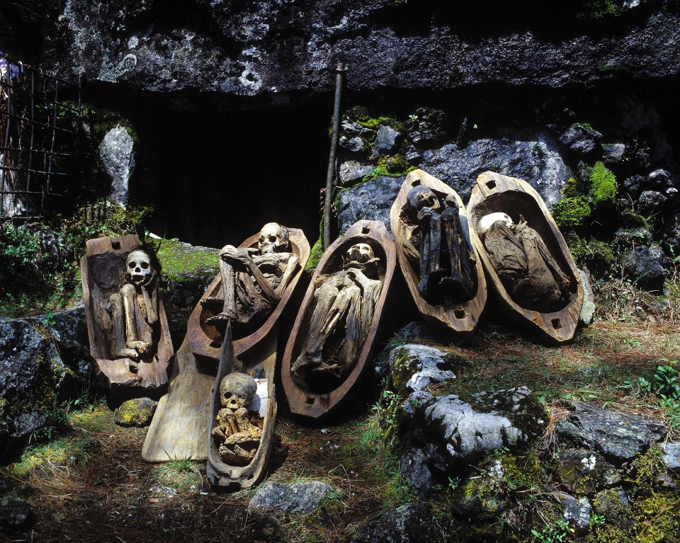 Arqueologia nas Filipinas, Técnica de Mumificação com Fumaça de Tabaco, Patrimônio Arqueológico das Cavernas Kabayan, Práticas Mortuárias da Tribo Ibaloi, Cápsula do Tempo Filippina, Rituais Funerários Tribais Filipinos, Caixões Suspensos de Sagada, Proteção do Patrimônio Cultural, Cavernas Kabayan: Desafios de Preservação, Múmias Ibaloi e Benguet, Fungos em Sítios Arqueológicos, Locais Ameaçados do Mundo, UNESCO e Múmias Kabayan, Mumificação Ritualística, Práticas de Enterro Únicas, Técnicas de Preservação Arqueológica, Antiga Civilização Filipina, Tribo Igorot e Suas Crenças, Desvendando Segredos da Mumificação, Cápsulas do Tempo na História Filipina.