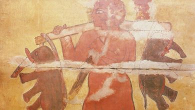 Pirâmides núbias, Gigantes no Vale do Nilo, Cemitério real de Meroé, Arquitetura greco-romana em Meroé, Reino de Kush, Copos Kerma, Pinturas murais antigas, Gregor Spoerri, Raça de gigantes egípcios, Reinos antigos no Sudão, Arquitetura distintiva em Meroé, Conflitos entre Egito e Kush, Desvendando o passado do Vale do Nilo, Pinturas murais como evidência histórica, Seres colossais na antiguidade, Múmias e gigantes no Egito, Ruínas de Meroé, Enigmas do antigo Egito, Povos neolíticos no Sudão, História da Terra de Kush.