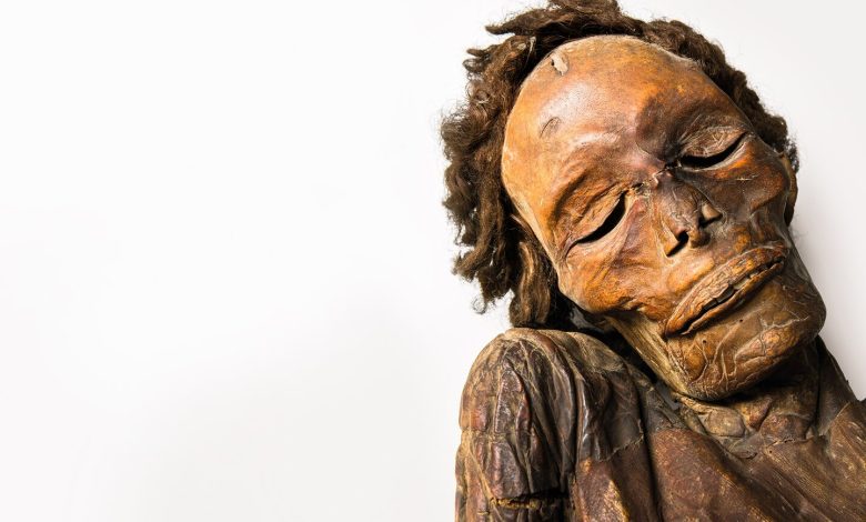 Ilhas Canárias, história, mil múmias, Preservação Guanche, técnicas, Barranco de Herques, descoberta, Tomografia, múmias Canárias, DNA, origens Guanches, Arqueologia, Ilhas Canárias, Migração antiga, Canárias, Técnicas preservação, múmias, Tecnologia arqueologia, Canárias, Ilhas Afortunadas, história, História migração, Canárias, Práticas arqueológicas, Canárias, Cavernas escondidas, Canárias, Magrebe, influências Canárias, Culturas norteafricanas, Canárias, Descobertas arqueológicas, Canárias, DNA, múmias Guanches, História, Ilhas Canárias, Enigma, mil múmias, Saques, múmias Canárias