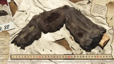 Relíquia de Bir Hooker, Gigantes na Antiguidade, Descobertas Arqueológicas Egípcias, Mistérios da Grande Pirâmide, Dedo Gigante Mumificado, Evidências de Civilizações Perdidas, Arqueologia Egípcia Profunda, Legado de Ladrões de Túmulos, Autenticidade de Artefatos Antigos, Mitologias sobre Gigantes, Raça de Gigantes no Egito, Bir Hooker e a História Oculta, Radiografia de Artefatos Antigos, Anomalias Anatômicas na História, Enigmas do Egito Antigo, Segredos do Distrito de Sadat, Rituais Funerários Egípcios, Mitologia sobre Seres Humanoides, Civilizações Desconhecidas na Antiguidade, Egito e Seus Tesouros Esquecidos