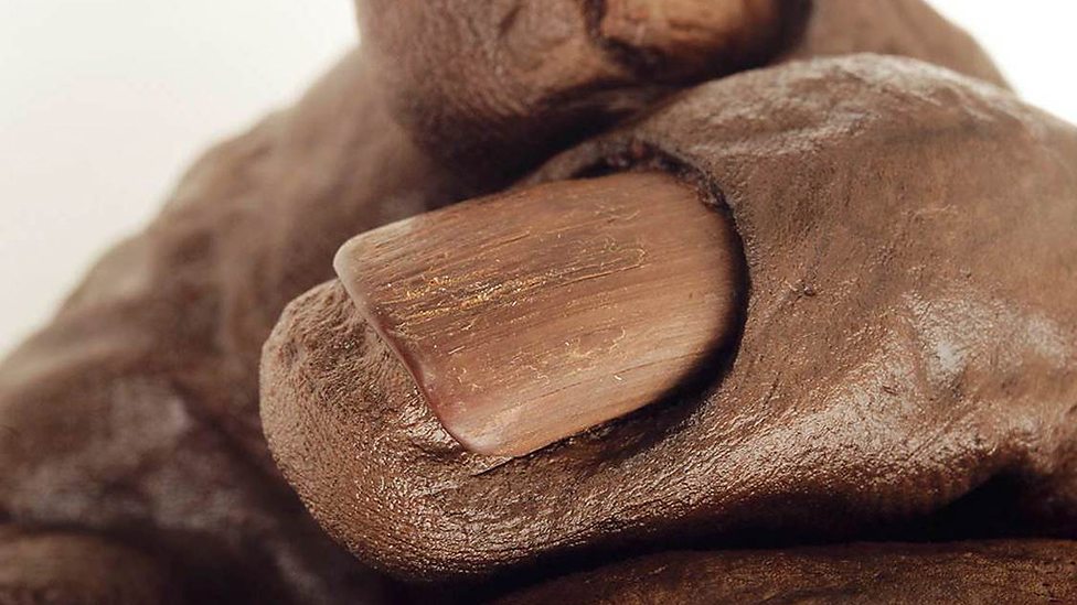 Turfa, Mumificação, Idade do Ferro, Descobertas Arqueológicas, Reconstrução Facial, Insights Culturais, Avanços Científicos, Contexto Histórico, Ofertas Ritualísticas, Economia Sacrificial, Violência Ritual, Interpretações Sociais, Comportamento Mortuário, Rituais de Sepultamento, Paisagens Aquáticas, Significado Simbólico, Mudança Climática, Impacto Ambiental, Conflitos Sociais, Transformações Culturais