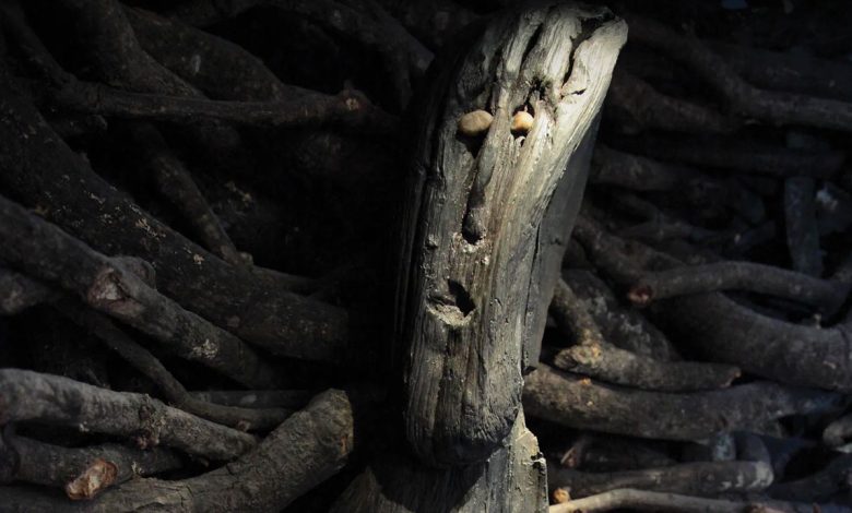 Turfa, Mumificação, Idade do Ferro, Descobertas Arqueológicas, Reconstrução Facial, Insights Culturais, Avanços Científicos, Contexto Histórico, Ofertas Ritualísticas, Economia Sacrificial, Violência Ritual, Interpretações Sociais, Comportamento Mortuário, Rituais de Sepultamento, Paisagens Aquáticas, Significado Simbólico, Mudança Climática, Impacto Ambiental, Conflitos Sociais, Transformações Culturais