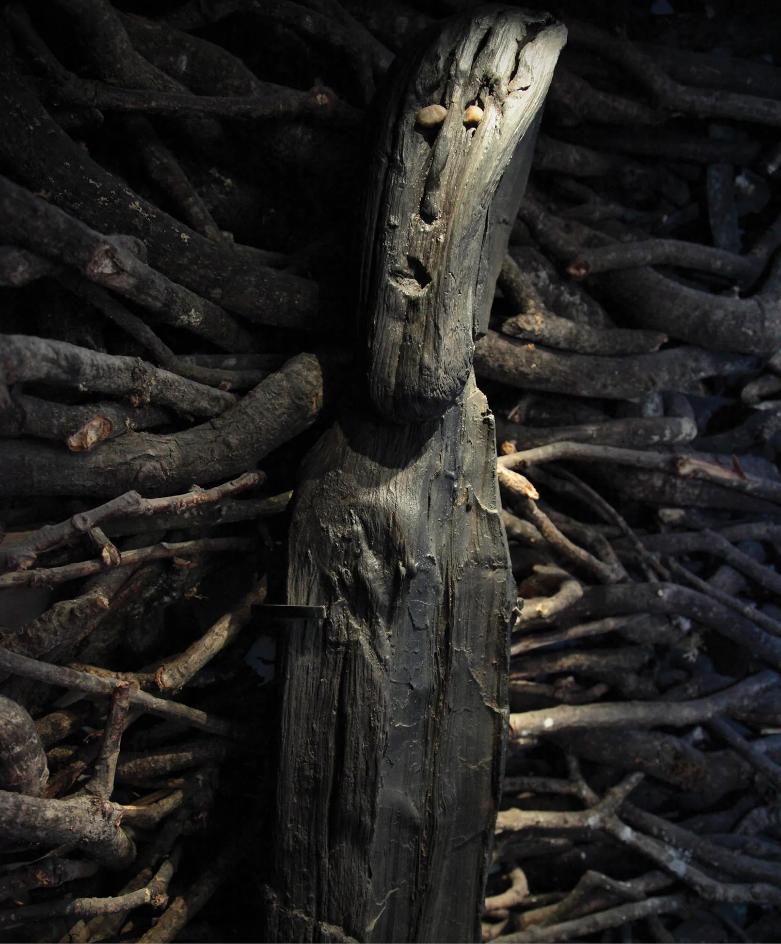 Turfa, Mumificação, Idade do Ferro, Descobertas Arqueológicas, Reconstrução Facial, Insights Culturais, Avanços Científicos, Contexto Histórico, Ofertas Ritualísticas, Economia Sacrificial, Violência Ritual, Interpretações Sociais, Comportamento Mortuário, Rituais de Sepultamento, Paisagens Aquáticas, Significado Simbólico, Mudança Climática, Impacto Ambiental, Conflitos Sociais, Transformações Culturais