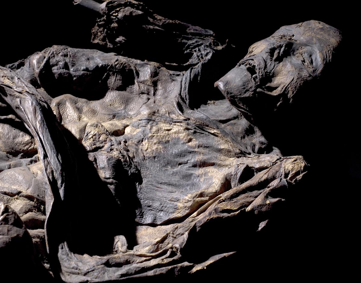 Múmias do Pântano, Origens das Múmias do Pântano, Pesquisas em Corpos Pantanosos, Mistério das Múmias Aquáticas, Viagens das Antigas Múmias, Rituais de Sacrifício na Idade do Ferro, Arqueologia do Norte da Europa, Corpos Bem Preservados em Turfeiras, Análises Químicas em Múmias do Pântano, Vestimentas Antigas e Seus Segredos, Mulher Huldremose e Mulher Haraldskær, Comércio na Idade do Ferro, Crenças Religiosas na Dinamarca Antiga, Turfa como Recurso na Antiguidade, Rede de Comunicação na Idade do Ferro, Roupas Tingidas como Sinal de Status, Portal Sobrenatural em Pântanos, Sacrifícios na Perspectiva Romana, Segredos dos Têxteis Antigos, Estrangeiros nos Pântanos Dinamarqueses, Teoria do Ritual ou Indivíduos Únicos, Desvendando o Enigma dos Pântanos, Arqueologia Forense em Corpos de Pântano, DNA e Movimentos Geográficos, Teorias sobre Pântanos na Antiguidade, Múmias do Pântano como "Forasteiros Geográficos", Análise Isotópica em Corpos Antigos, Padrões de Sacrifício na História, Artefatos e Presentes nos Pântanos, Vida e Morte nas Civilizações Esquecidas.