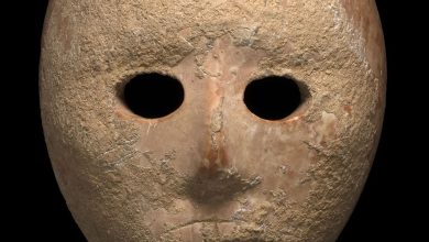 Máscaras de pedra neolíticas, Descoberta arqueológica na Judéia, Ronit Lupu, Omry Barzilai, Antiguidades da Judéia, Ritual funerário neolítico, Transição para agricultura ancestral, Arqueologia da Cisjordânia, Artefatos neolíticos, Sociedade pré-histórica de Israel, Controle social na pré-história, Evidências rituais-religiosas, Pátina superficial em artefatos, Autenticidade de máscaras de pedra, Descobertas arqueológicas recentes, Contexto arqueológico de máscaras, Pesquisa arqueológica na Judéia, Origens nebulosas de artefatos, Significado das máscaras neolíticas, Escavação científica de artefatos.