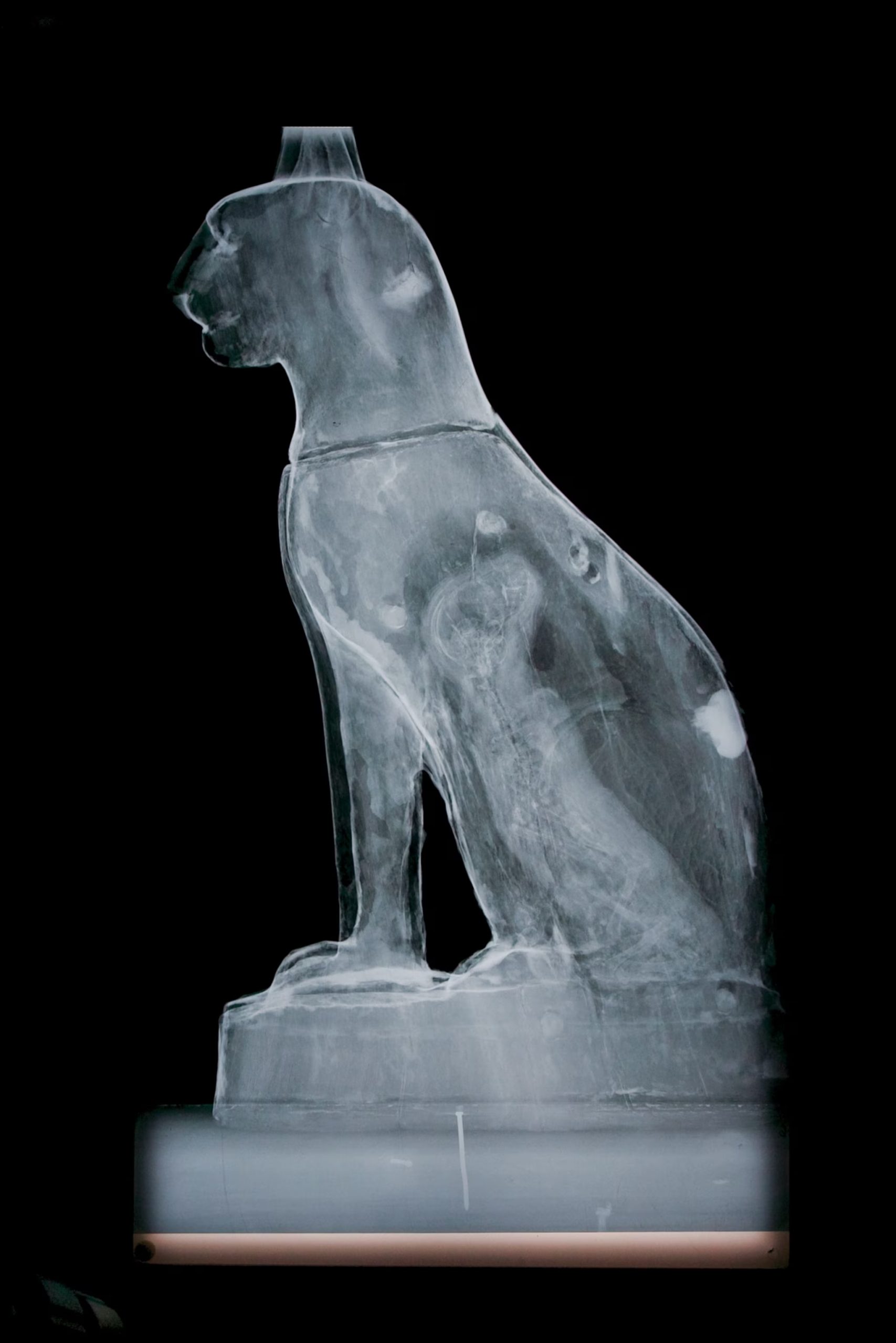 Múmias egípcias, Antigo Egito, Arqueologia, Religião egípcia, Zooarqueologia, Ritual de mumificação, Sociedade egípcia, Deuses egípcios, Múmias de gatos, Rituais funerários, Comércio de múmias, Templos egípcios, Crocodilos sagrados, Festivais religiosos, Peregrinação ao Egito, Tumbas reais, Embalsamamento, Culto aos animais, História egípcia antiga, Símbolos da vida após a morte.