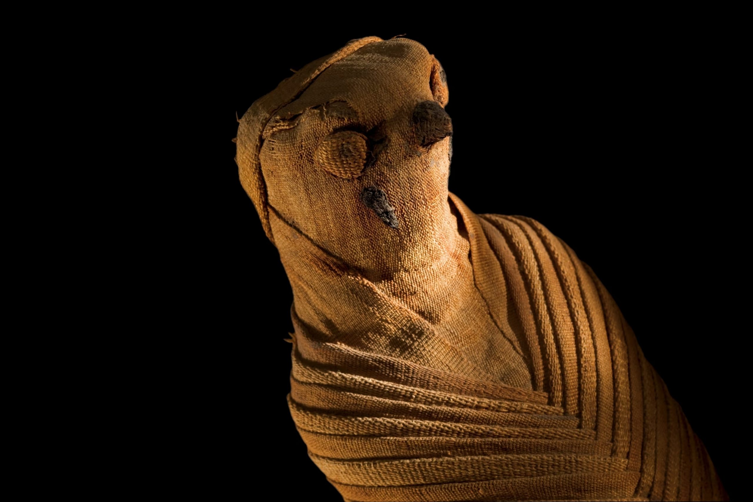 Múmias egípcias, Antigo Egito, Arqueologia, Religião egípcia, Zooarqueologia, Ritual de mumificação, Sociedade egípcia, Deuses egípcios, Múmias de gatos, Rituais funerários, Comércio de múmias, Templos egípcios, Crocodilos sagrados, Festivais religiosos, Peregrinação ao Egito, Tumbas reais, Embalsamamento, Culto aos animais, História egípcia antiga, Símbolos da vida após a morte.