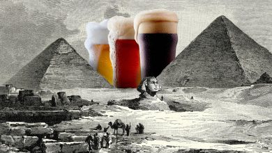 Bebidas Alcoólicas na Pré-História, Fermentação e Civilizações Antigas, Arqueologia e Cultura do Álcool, Evolução da Produção de Cerveja, Achados Arqueológicos em Cerâmica, Rituais e Festas na Antiguidade, Bebidas Fermentadas em Diferentes Culturas, Impacto da Cerveja na História Humana, Tecnologia Antiga de Produção de Bebidas, Cerveja e Desenvolvimento da Agricultura, Bebidas Alcoólicas como Patrimônio Cultural, Análises Químicas em Artefatos Antigos, Arqueologia Experimental em Produção de Cerveja, Mitos e Lendas sobre a Origem da Cerveja, Significado Social da Cerveja na Antiguidade, Marcadores Arqueológicos de Consumo de Álcool, Rastros de Bebidas Alcoólicas em Sítios Arqueológicos, Artefatos de Armazenamento de Bebidas na História, Uso de Plantas e Grãos na Fabricação de Cerveja Antiga, Variedade de Estilos de Cerveja ao Longo do Tempo.