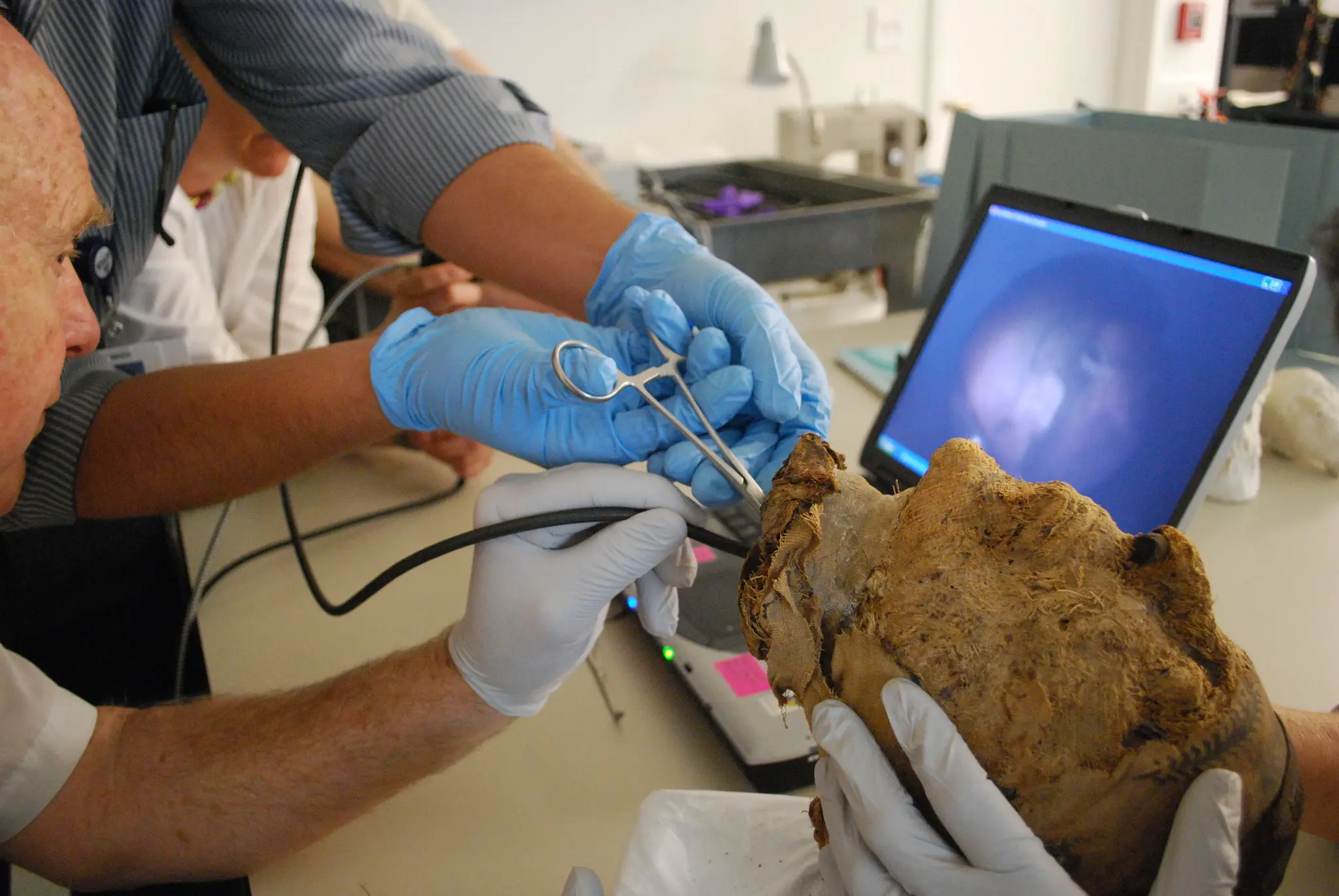 Investigação do FBI sobre a cabeça da múmia egípcia, Ciência forense desvenda identidade da múmia milenar, Desafios da análise de DNA em múmias antigas, Arqueologia e tecnologia no estudo de múmias egípcias, Cerimônia de Abertura da Boca na mumificação egípcia, Mistérios da necrópole de Deir el-Bersha, Arqueólogos americanos e a descoberta da tumba profanada, Técnicas de mumificação e práticas funerárias no Egito antigo, Exploração de múmias para entender o passado humano, Importância da tomografia computadorizada em estudos arqueológicos, Desvendando segredos dos restos mortais antigos, Evolução da ciência forense na análise de múmias, Dificuldades em preservar DNA em condições climáticas adversas, Técnicas modernas de análise óssea em arqueologia, Impacto da descoberta da identidade da múmia no mundo da arqueologia, Interdisciplinaridade entre medicina, arqueologia e história antiga, Contribuições do Museu de Belas Artes de Boston para a pesquisa arqueológica, Relevância da cooperação entre instituições científicas em estudos arqueológicos, Desafios éticos em estudos científicos de restos humanos antigos, Narrativa histórica revelada pela análise de múmias e artefatos funerários.