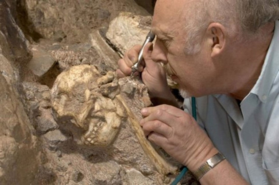 Hominídeo, Descoberta Arqueológica, Evolução Humana, Australopithecus prometheus, Esqueleto completo, Cavernas Sterkfontein, Paleontologia, Ronald Clarke, Robin Crompton, Lesão no braço, Fósseis, Paleontólogo, Biologia Evolutiva, Little Foot, Marcha ereta, Arqueólogo, Universidade de Witwatersrand, Espécie humana, Evolução da marcha, Descoberta científica, Antropologia Física, Controvérsia científica, Registros fósseis.