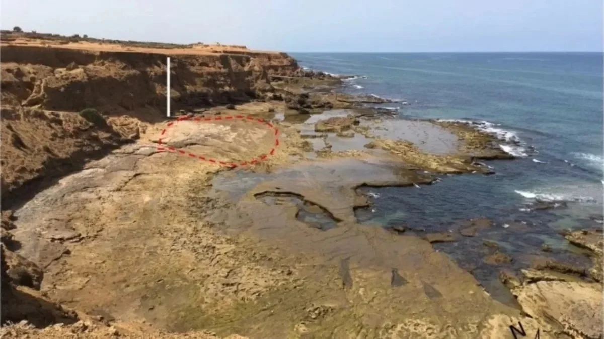 Descobertas arqueológicas em Marrocos, Migração humana pré-histórica, Preservação de pegadas antigas, História da migração humana, Evidências arqueológicas em praias africanas, Preservação de vestígios pré-históricos, Estudo de pegadas humanas em sedimentos, Avanços na datação arqueológica, Impacto das marés na preservação histórica, Análise de cristais para determinação de idade, Grupo multigeracional de Homo sapiens, Rotas de migração no Pleistoceno Superior, Exploração da península do Sinai, Antropologia marroquina, Pesquisas em dinâmica costeira, Evolução da humanidade na África, Estratégias de preservação arqueológica, Rastros da pré-história na costa africana, Contexto paleoclimático da região, Contribuições da luminescência na arqueologia, Padrões de locomoção de populações antigas, Desvendando segredos da migração ancestral, Significado das pegadas em contextos históricos.