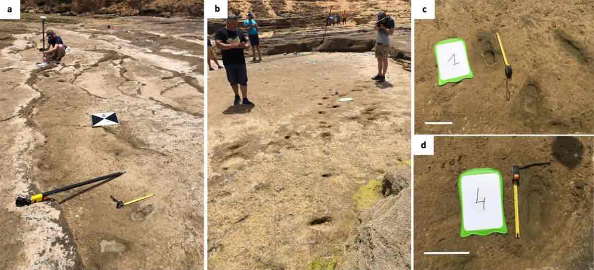 Descobertas arqueológicas em Marrocos, Migração humana pré-histórica, Preservação de pegadas antigas, História da migração humana, Evidências arqueológicas em praias africanas, Preservação de vestígios pré-históricos, Estudo de pegadas humanas em sedimentos, Avanços na datação arqueológica, Impacto das marés na preservação histórica, Análise de cristais para determinação de idade, Grupo multigeracional de Homo sapiens, Rotas de migração no Pleistoceno Superior, Exploração da península do Sinai, Antropologia marroquina, Pesquisas em dinâmica costeira, Evolução da humanidade na África, Estratégias de preservação arqueológica, Rastros da pré-história na costa africana, Contexto paleoclimático da região, Contribuições da luminescência na arqueologia, Padrões de locomoção de populações antigas, Desvendando segredos da migração ancestral, Significado das pegadas em contextos históricos.