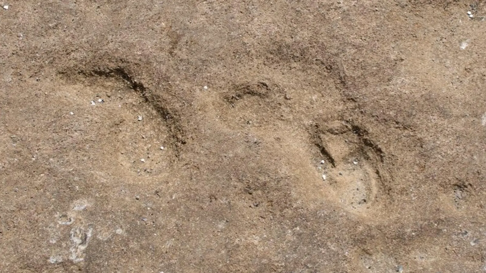 Descobertas arqueológicas em Marrocos, Migração humana pré-histórica, Preservação de pegadas antigas, História da migração humana, Evidências arqueológicas em praias africanas, Preservação de vestígios pré-históricos, Estudo de pegadas humanas em sedimentos, Avanços na datação arqueológica, Impacto das marés na preservação histórica, Análise de cristais para determinação de idade, Grupo multigeracional de Homo sapiens, Rotas de migração no Pleistoceno Superior, Exploração da península do Sinai, Antropologia marroquina, Pesquisas em dinâmica costeira, Evolução da humanidade na África, Estratégias de preservação arqueológica, Rastros da pré-história na costa africana, Contexto paleoclimático da região, Contribuições da luminescência na arqueologia, Padrões de locomoção de populações antigas, Desvendando segredos da migração ancestral, Significado das pegadas em contextos históricos.